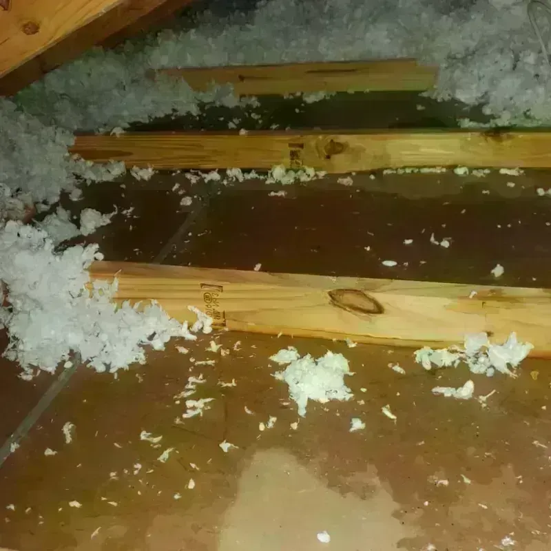 Attic Water Damage in Eagle River, AK